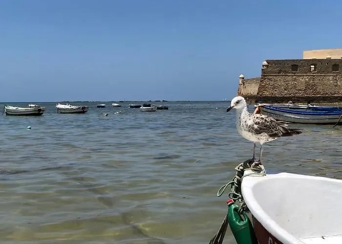 Planeta Vandrarhem *