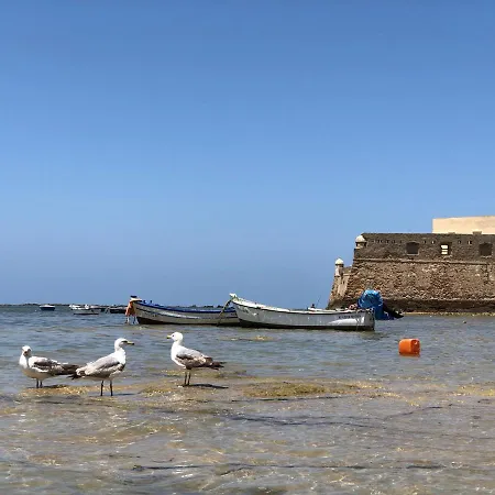 Planeta Cádiz