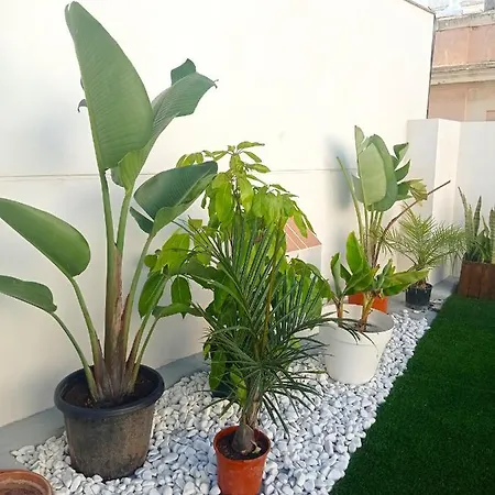 Planeta * Cádiz