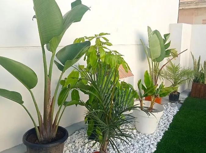 Planeta * Кадис
