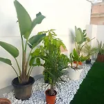 Planeta * קדיז