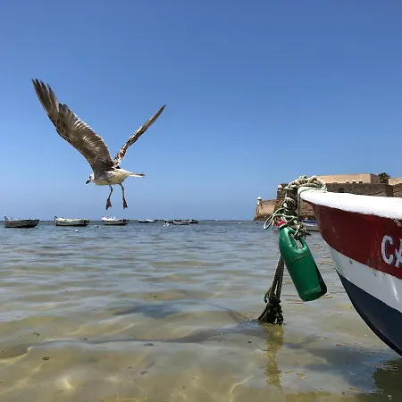 Planeta Cádiz
